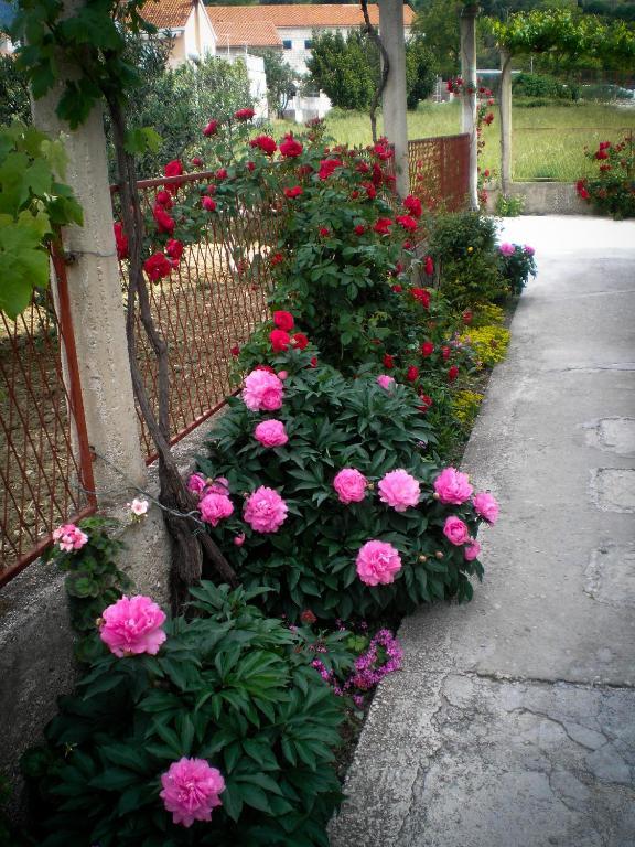 Francesca Guesthouse Mlini Exterior photo